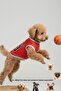 Chicago Summer Dog Jersey, Dog Clothing for Small, Medium and Large Breeds - 5