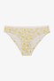Lemon Tree 3 Pointel Multicolored Hipster Panties - 3