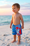 Uv Protection Baby Boy Swim Shorts Pool Shorts 5120 Crab Blue02 - 2