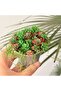 40pcs 24pcs/40pcs Mini Succulent Ornaments, Miniature Landscape Scene Decorations, DIY Plant Sand Ta - 2