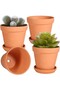 S 3 Inches Small Terracotta Pots with Saucer, 4 Pack 3" Clay Pots and Saucers with 3pcs Mini Flower. - 2