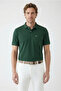 Polo Neck Regular Fit Embroidered Cotton T-Shirt - 2
