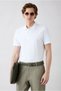 Non-Curling Polo Collar Slim Fit Slim-Fit Cotton T-Shirt with Ribbed Detail