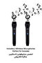 Portable Trolley Party Speaker 2000W PMPO with Dual 10" Speakers, 2 Wireless Microphones, Bluetooth, FM Radio, USB/AUX Input, 8000mAh Battery XS-N5214PB - 6