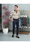 Cotton Lycra Slim Fit Knitted Horizontal Pattern Collar Stripe Detailed Polo Collar Sweater