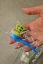 2Pcs Saxophone Ball Blowing Game Party Favor Educational Balance Skill Stress Relief Toy Popit Pipette Breath Ball Bounce Lift Game - 5