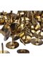 G 1 Thumb Tack, Flat Push Pins, 100 Pcs, For Picture Photo Hanging, Wall Pins, 1 Cm, Golden Color - 3