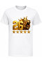Gilded 26 Roar King Lion 5 Star 26Th Championship Printed Cotton Kids T-Shirt - 2