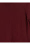 Lcw Everyday Burgundy Crew Neck Women's Knitwear Sweater - 7