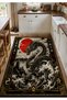 Sdt Fish Theme Patterned Modern Woven Base Decorative Carpet Mosso3388 - 2