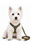 Adjustable Scarf, Chest Harness and Travel Strap Set of 3 - 4