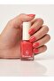 Long-Lasting Nail Polish – High Shine, Quick Dry Nail Color – Shade No. 45 - 2