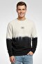 Men Crew Neck Embroidered Long Sleeve Sweatshirt, Multicolor