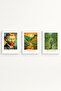 White Wooden Framed Vincent Van Gogh Painting Set Huhu530 - Triple Painting Set White Frame