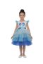 - Blue Tiered Tulle Princess Dress - 4Y to 8Y