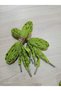Bsg Design |   Pistachio Green Burnt Linen Fabric Shoelaces - 120 cm Handmade with Metal Tips - 3