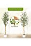 1pcs Natural Wooden Rod Imitation Double Rod Olive - Practical, Cost-effective, Affordable - 4