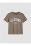 New Season Brown 100% Cotton Women's T-Shirt