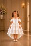 Shedress Girls' Ecru Layered Flounce Tulle Collar Evening Dress