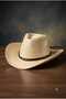 Unisex Straw Cowboy Hat, Summer Beach and Vacation Hat, Summer Hat with Decorative Feather Detail