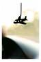 Rearview Mirror Hanging Pendant - Wood - Black (Airplane Motif) - 2