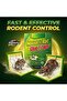 Mouse & Rat Glue Board Traps – Heavy Duty Sticky Mouse Trap Boards for Home, Kitchen, Warehouse & Office - 6