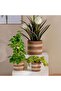 Reina Sea Grass Planter D17xh18cm - Natural - 3