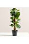Peperomia Tetraphylla Artificial Bonsai Plant H40cm - Green - 3