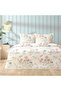 Single Pique Set Queen Sorien Green Elastic Fitted Sheet 120*200cm