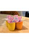 6-Piece Ice Cream Stick Mold Set for Homemade Frozen Desserts and Yogurt Sticks
