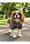 Sunny Days Themed Pop-Art Summer Pet Shirt Light Blue