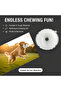 Dog Toy Durable Bouncing Ball m (6.3 cm) – for Small Breeds - 3