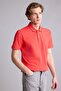 100% Cotton Slim Fit Polo Collar T-Shirt (26 Sm) - 3