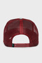 101-0381 the Panther Mesh Detailed Animal Patterned Hat Unisex Hat 1010381 - 5