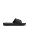 Cool Cat 2.0 Slides - 7