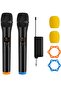 Wireless Microphone UHF Dual Portable Handheld Dynamic Karaoke Mic