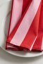 Rose Stripe Red Rose 6-Piece Napkin Set - 4