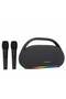 Smart Berry M93 Wireless Karaoke Speaker with Dual Microphones – Portable Bluetooth Speaker with RGB Lights & Deep Bass