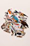 Anatolian Birds 25 Piece Sticker Pack Waterproof Laptop Thermos Phone Sticker Set - 4