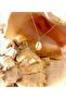Women's Chain Sea Shell Necklace - 2