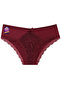 Front Shiny Jersey and Lace Back Cotton Hipster Fit Panties 3-Piece Pack W-4565 R1-5 - 5