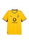 Borussia Dortmund 26/27 Home Men's Yellow Football Jersey 78408801 - 6