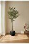 Artificial Olive Tree with Premium Base