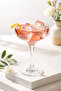 6-Piece Shape Cup Natural (235 Cc) Presentation Container & Bowl |   Stylish Cocktail, Magnolia, Sweet Dessert, Ice Cream and Dessert Presentation - 3