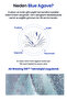 Intensive Moisturizing Gel Cream with Hyaluronic Acid t'Else Blue Agave Hyaluronic Acid Cream - 6