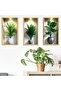 3-Pack 3D Plant Wall Stickers,Wall Stickers Living Room, 3D Wall Art for Hallway and Stairs, Peel and Stick Wall Decals Mural Hallway Decor Bedroom Kitchen Wallpaper Backdrop Self-Adhesive Removable - 2