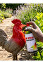 Red Spray Paints 240gm - 2
