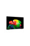 55 inch OLED TV AI B6 Smart Television 2026 Model - 2