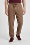 Men Regular Fit Embroidered Logo Jogger Pants, Brown