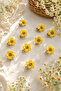 Tiny Daisy Hair Earrings Hair Clips 8 Pieces - 2